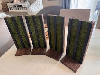 Boho wall sconces with preserved moss