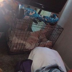 Dog Cage With Bed 