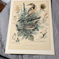 Original Arthur Singer #67