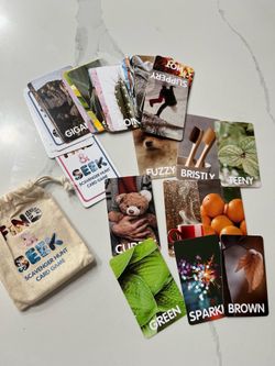 Find and Seek Scavenger Hunt Card Game