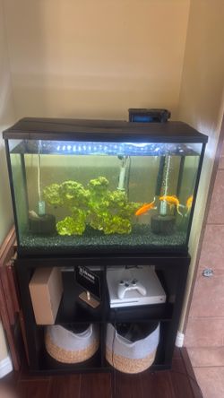 Fish tank with everything included 29 gallons