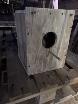 Bird Nesting Box