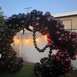 Balloon Arch