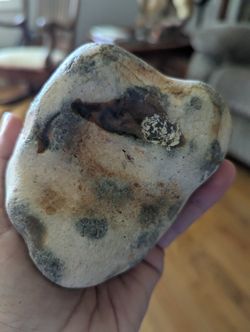 Dalmatian Stone