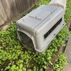 Large doghouse kennel