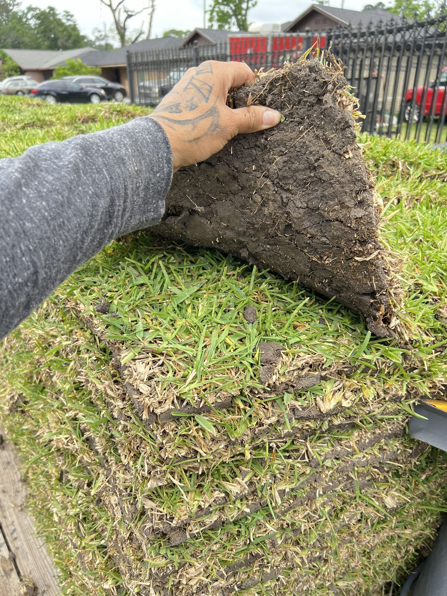 Fresh Cut Grass Sale