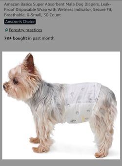 Make Dog Diapers - Disposable