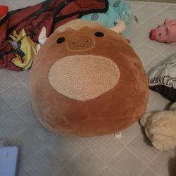 Medium Sized Squishmellow