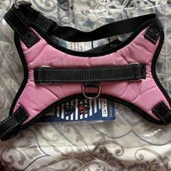 Harness Size Large 