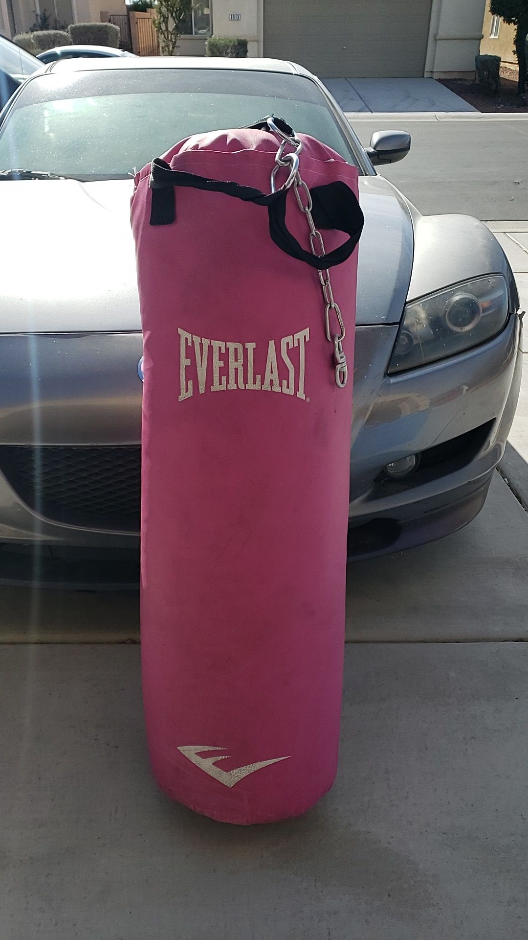 Everlast Punching Bag