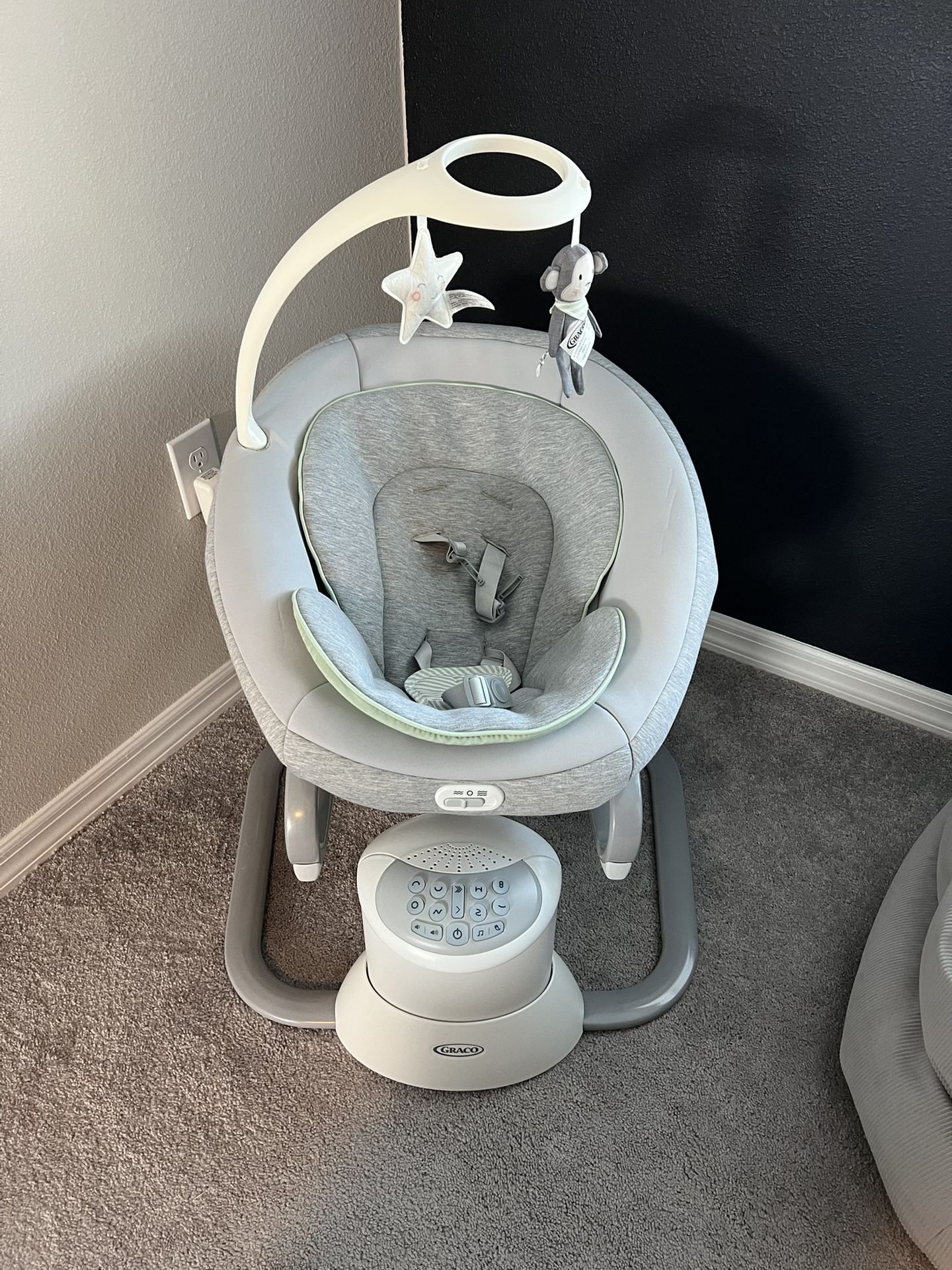 Graco Baby Swing & Portable Rocker