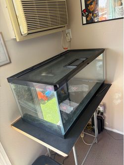 reptile terrarium