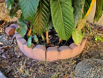 Garden /Landscape - Brick Edging $1.99