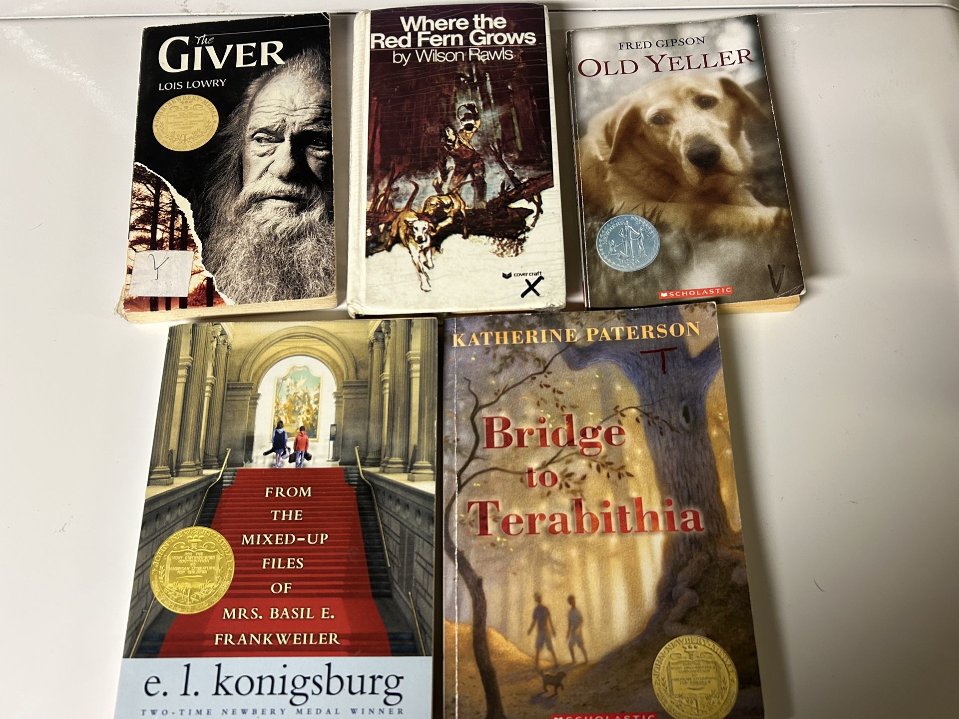 Classic paperback book novels bundle 