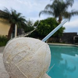 COCOS‼️🌴🥥⛱️‼️D E L I C I O S O S😋 PARA DECORACION,BOTANA O ANTOJO ‼️
