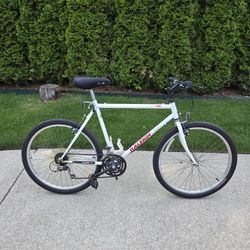 Raleigh USA Bike