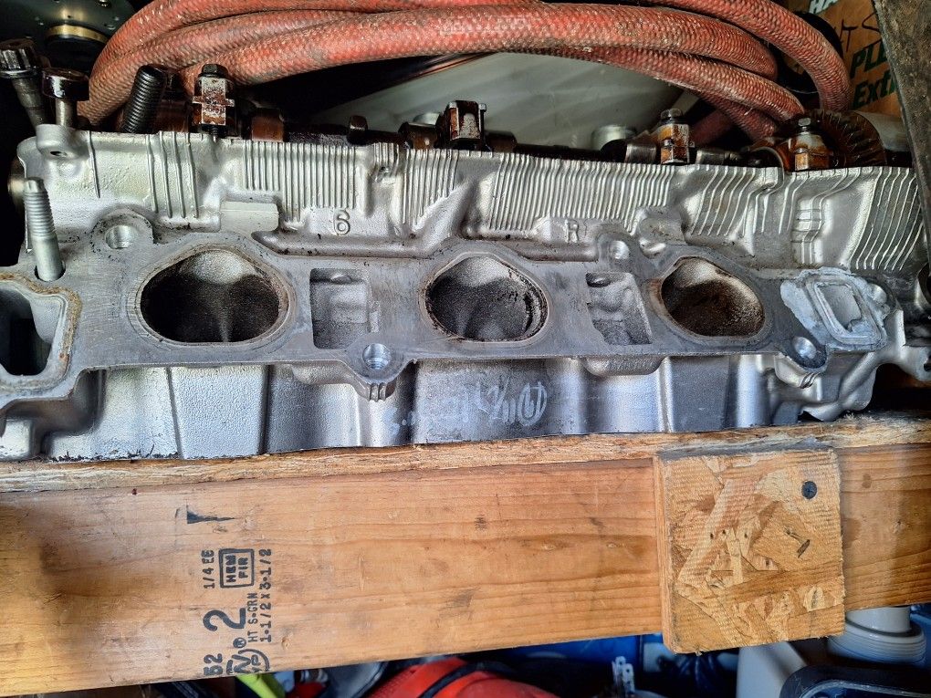 Lexus Head