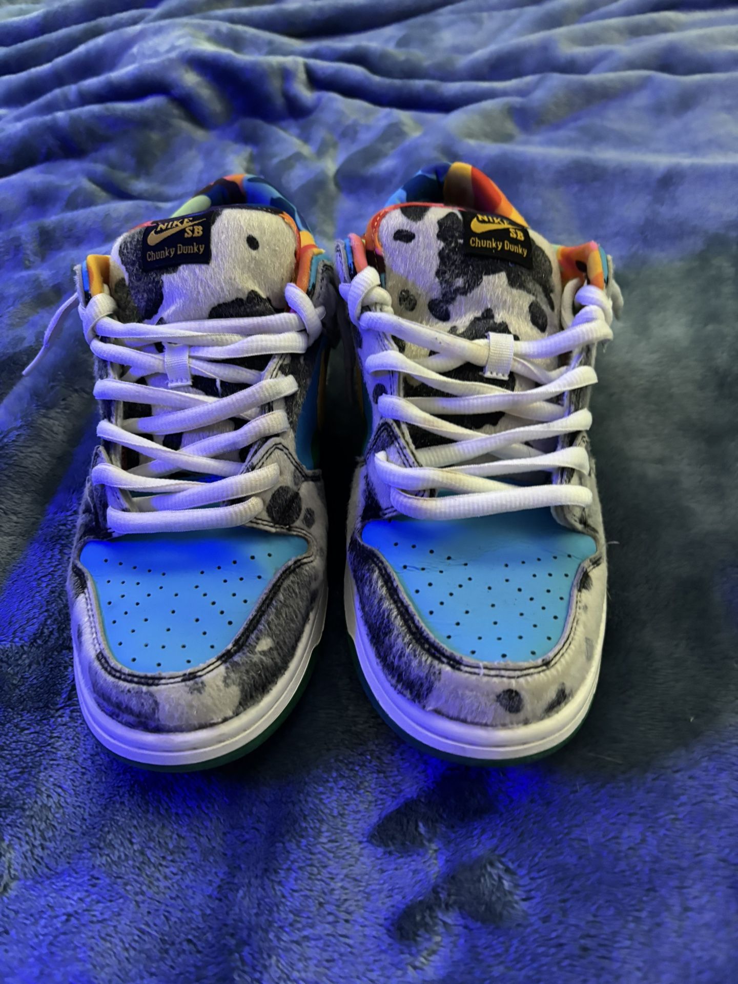 Ben & Jerry’s Nike SB