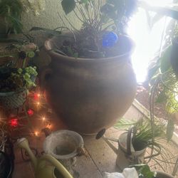 Extra Large Terra-Cotta 60 Gallon Planter Large Enough To Fit A Palm Tree