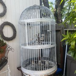 Bird Cage