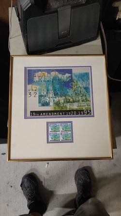 19th amendment stamp collector