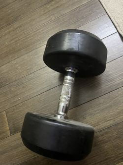Dumbbell 45 Lb Life Line
