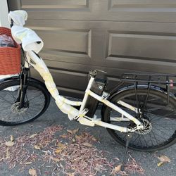Electric Bike