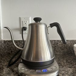 Willow & Everett Gooseneck Electric Kettle with Temperature Control - 0.8L Stainless Steel & BPA Free Plastic