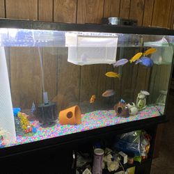 Fish Tank & Stand 