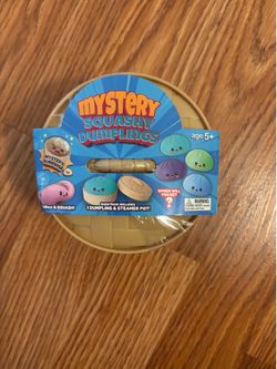 Mystery dumpling in steamer pot squishy fidget toy