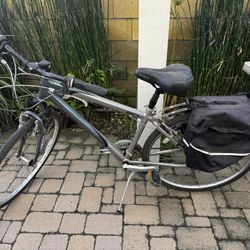 Bicycle Adult Male Northrock