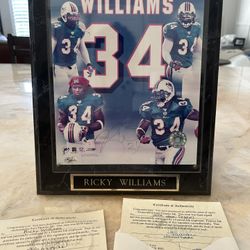 Miami Dolphins 