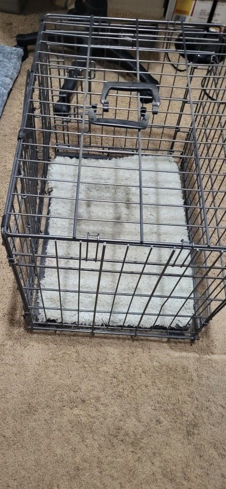 Dog Cage