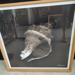2 Different Shell Glass Pictures In 23 By 23 Wood Frame $35 Each Or Both $50 