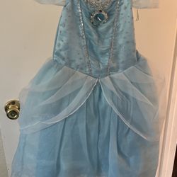 Cinderella Costume