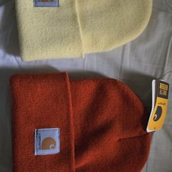 CarHart Beanie (NEED GONE ASAP)