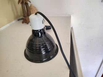 Reptile heat lamp and bulbs 75 watt 90-120 volt
