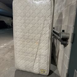 Twin Mattress and Box Spring