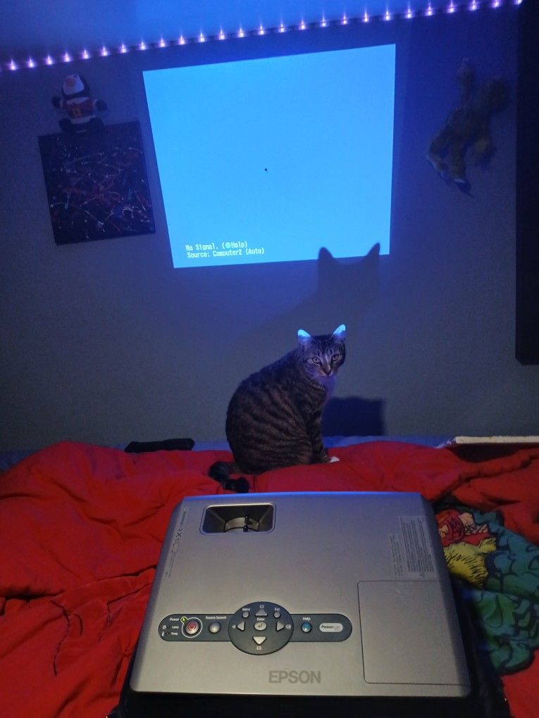 Epson Projector And Screen