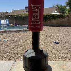 Everlasting punching bag