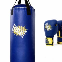 Everlast 40lbs punching bag set