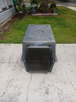 Dog House
