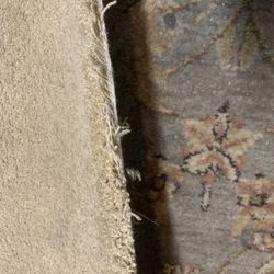 20x10 Normal Wear Carpet In Good Condition , Quality And Thick Kind