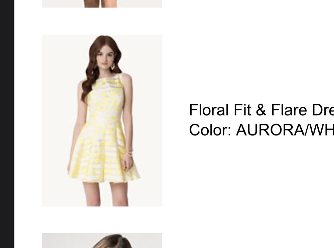 Bebe Fit And Flare Dress, Floral