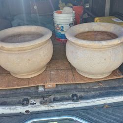 Plant Pot For Sale $50 Each