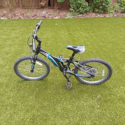 Giant MTX Kids Bike 
