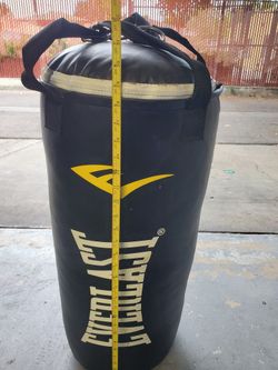 Everlast Punching Bag