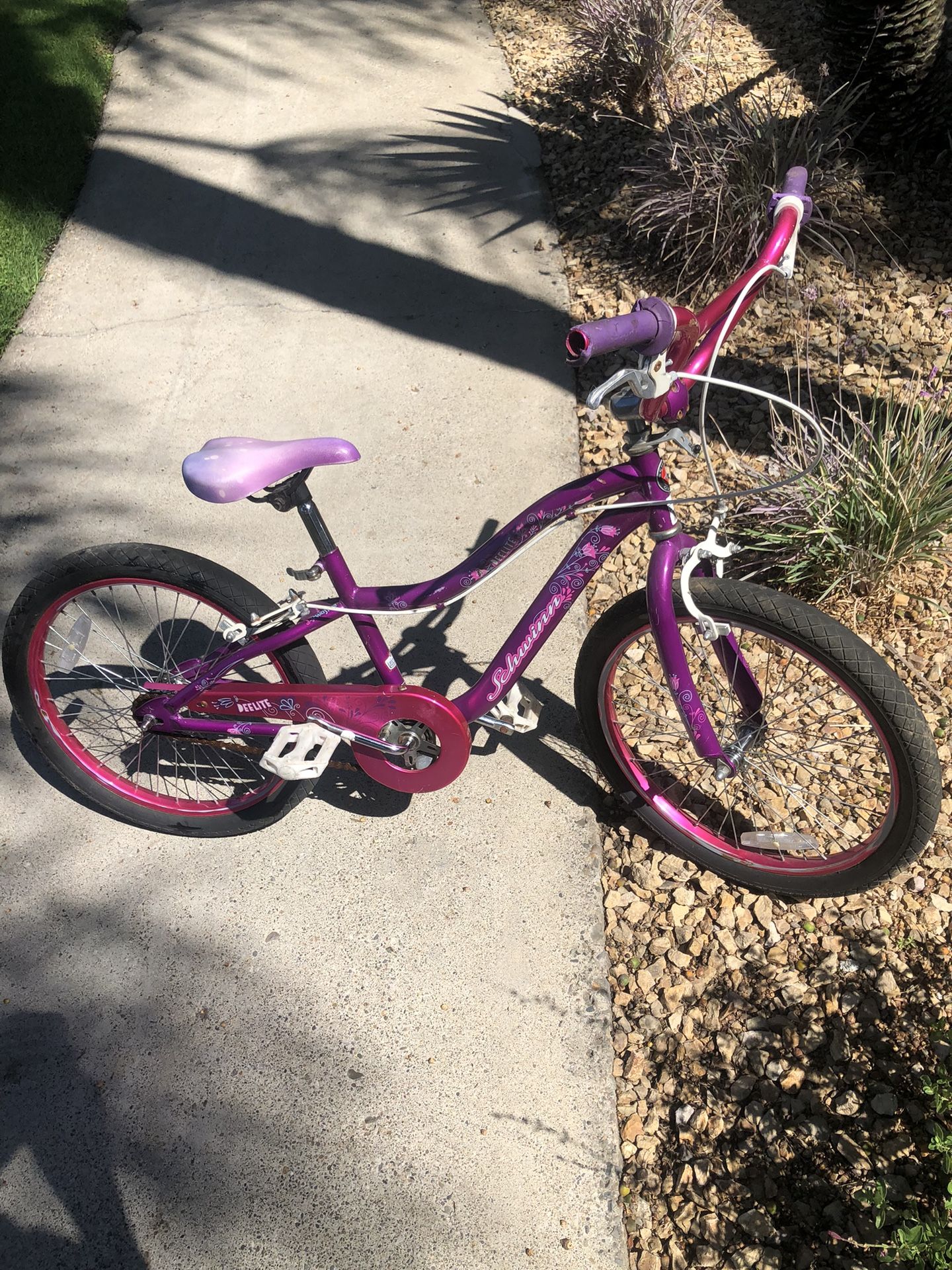 EElite Schwinn Bike