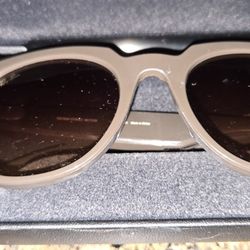 Ray Ban Meta SunGlasses