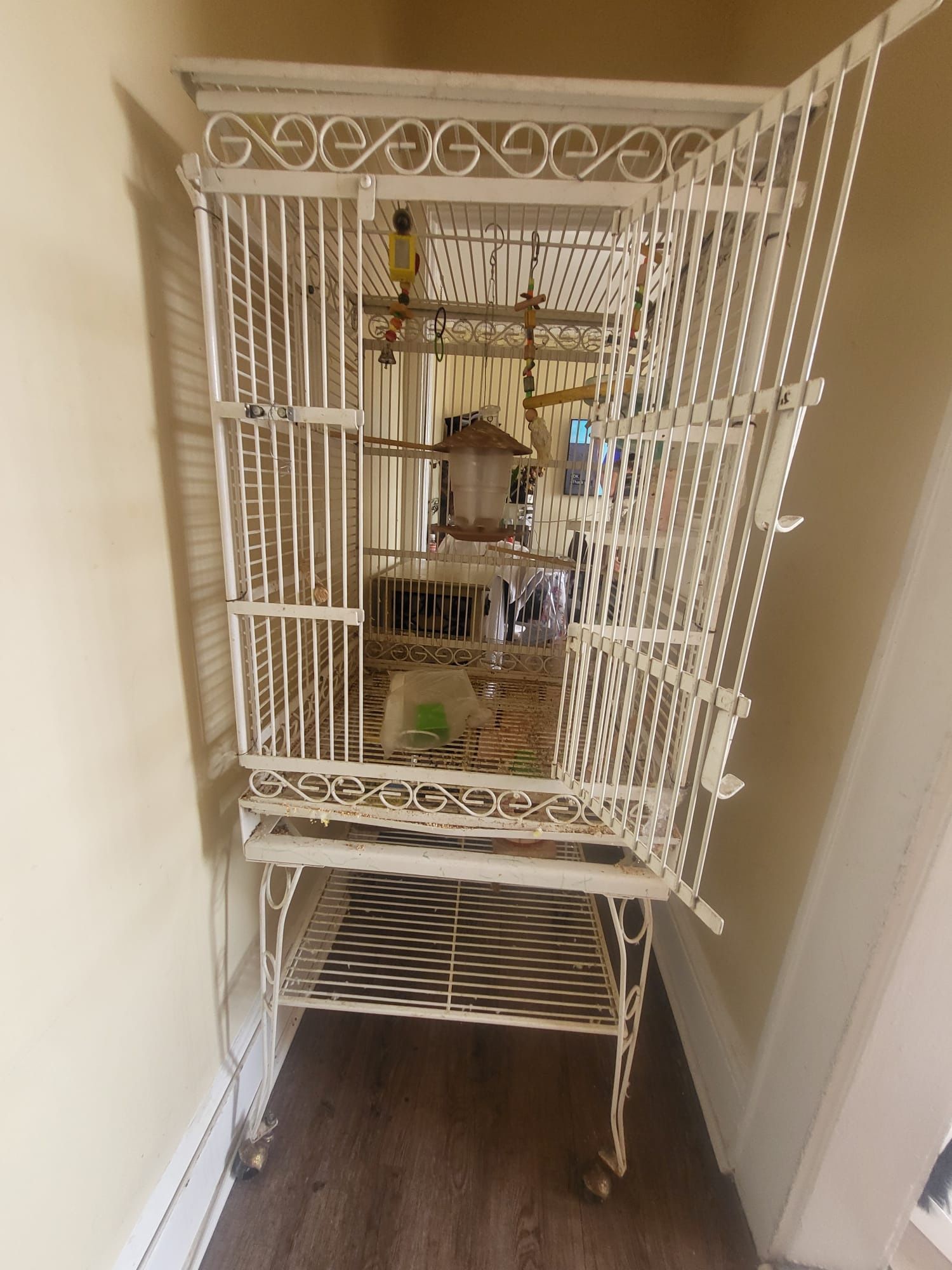 4 ft Bird Cage